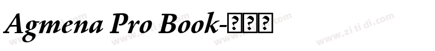 Agmena Pro Book字体转换